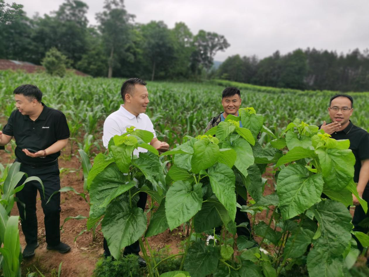 �ƶ�����(�й���½)�ٷ���վ