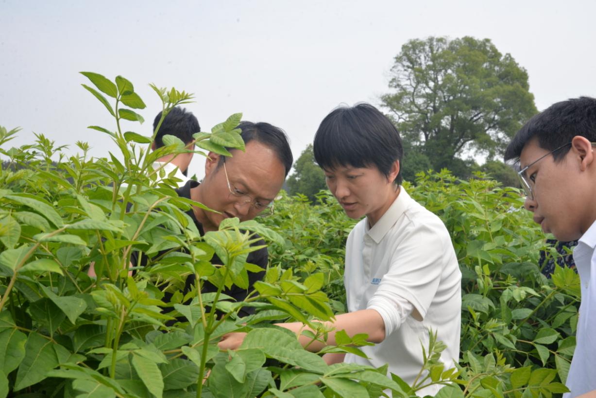 �ƶ�����(�й���½)�ٷ���վ